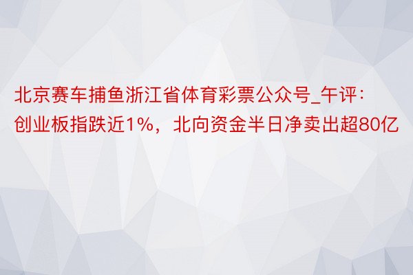 北京赛车捕鱼浙江省体育彩票公众号_午评：创业板指跌近1%，北向资金半日净卖出超80亿